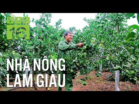 Video: Vườn cây ăn quả và Làm vườn vi khí hậu - Cách trồng cây ăn quả trong điều kiện vi khí hậu