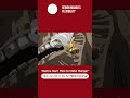 Seinen Manga's Felixibility