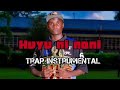HUYU NI NANI TRAP INSTRUMENTAL Vinconthebeat FT Waltechproduction Kellytechnix