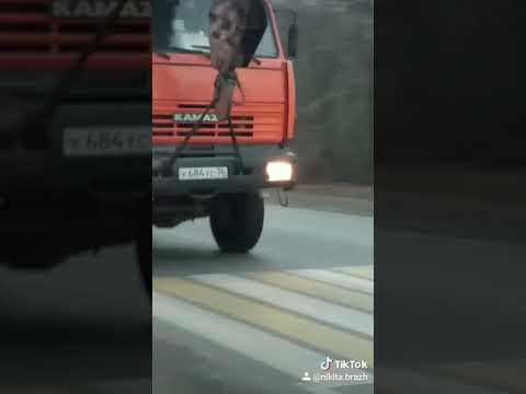 Ваз едет задом наперед