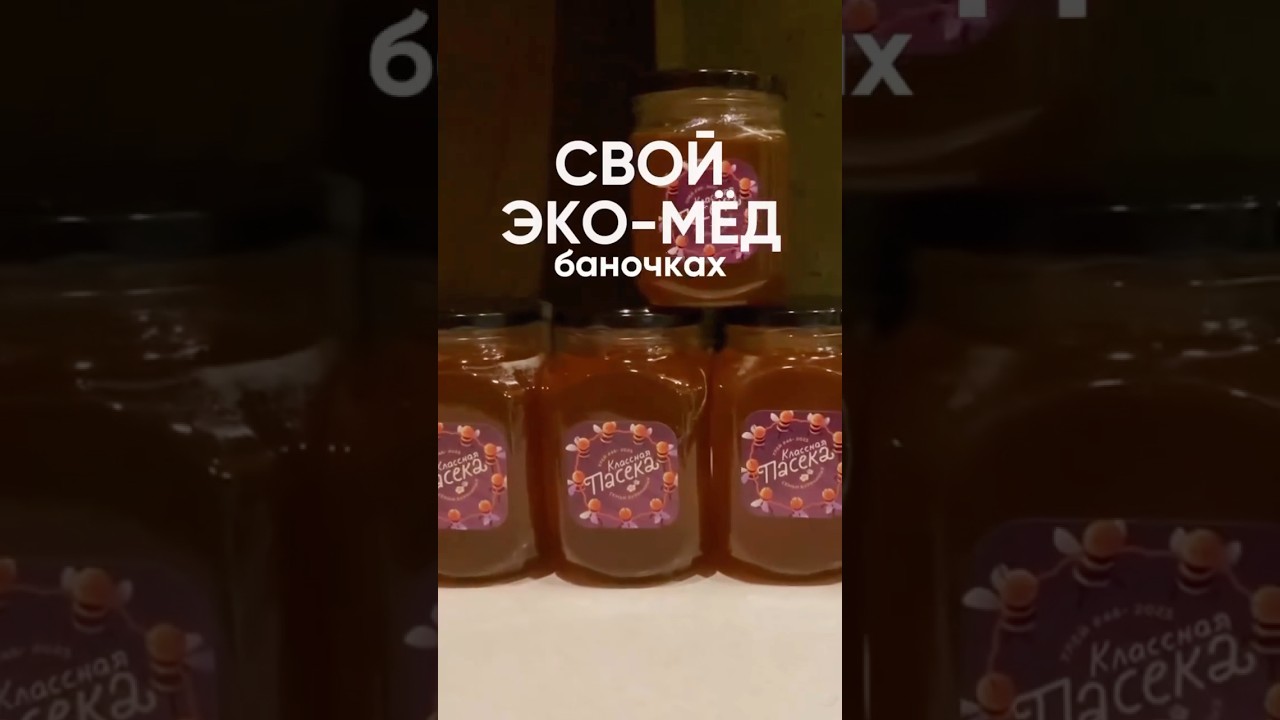 Один из самых необычных проектов 🐝