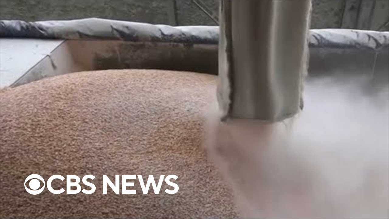 Russia and Ukraine sign grain export deal