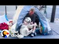 Husky becomes obsessed with man living on the street in paris  the dodo