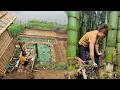 Harvesting Giant Bamboo Shoots in the Forest, Welcoming Chickens and Ducks to the Farm