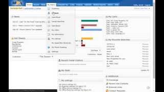 Matrix -  How to view a contacts portal