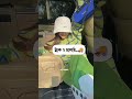 একদম...🙌🐸🦥 #foryou #viral #kimtaesumiot7 #unfrezzmyaccount #funnyvideo #btsfunnyvideos