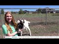 MTN 4:30 News with Russ Riesinger 6-8-26