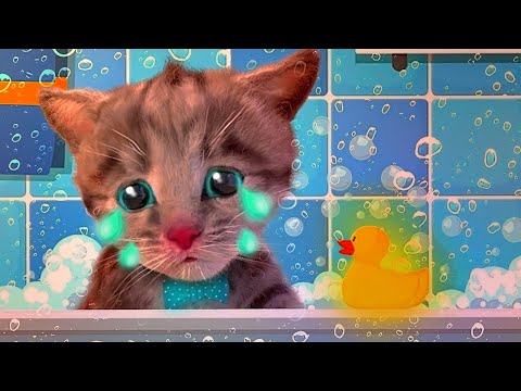 Lindo Gatito | Dibujos Animados Infantiles para Niños - Videos para Bebés