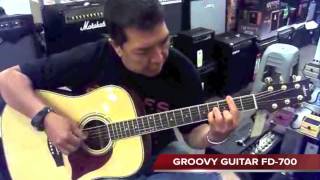Groovy Guitar Model :FD-700