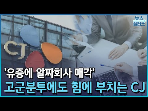 유증에 알짜회사 매각 고군분투에도 힘이 부치는 CJ 한국경제TV뉴스 