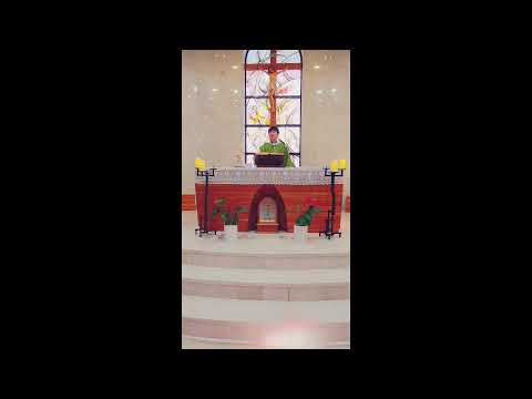 영상썸네일