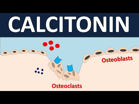 हड्डी विकारों के लिए कैल्सीटोनिन || ऑस्टियोपोरोसिस और पगेट की बीमारी