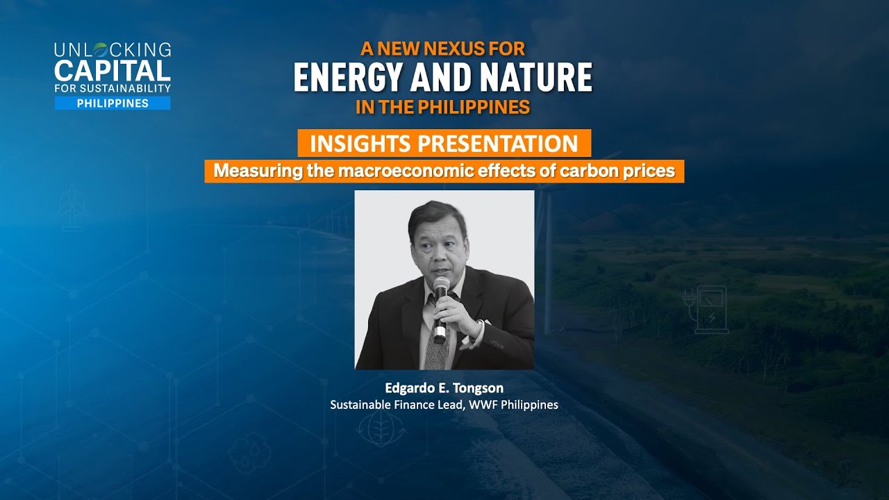 Unlocking capital for sustainability 2024 PH | Measuring the macroeconomic effects of carbon prices