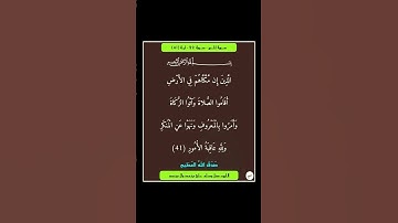 سورة الحج - سورة 22 - اية 41