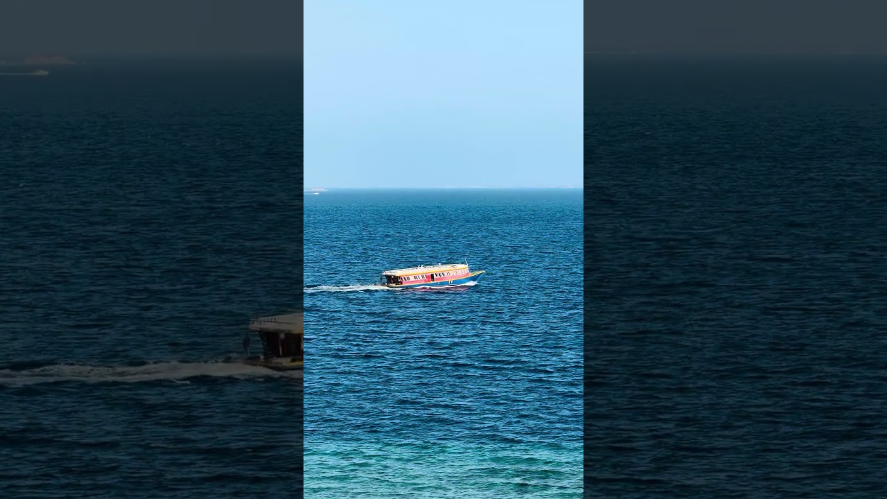 Public ferry. View from our balcony