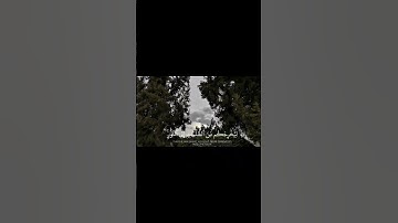 سورة الأحزاب [40-44]القارئ : ياسر الدوسري           #قرآن #ياسر_الدوسري
