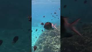 Zamami Island Okinawa