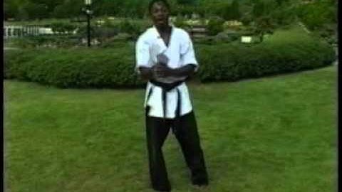 Daniel Sterling Vol 2 Teaching a Butterfly Twist into a Flash Kick