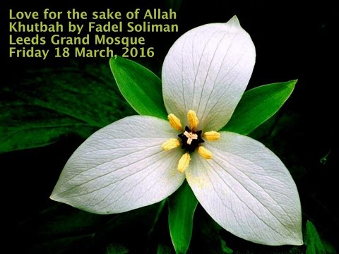 Love in Islam, by Fadel Soliman