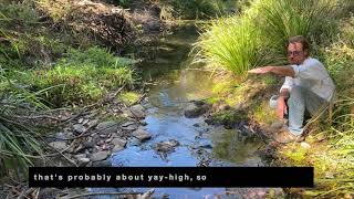 Thora Valley Leaky Weir Design