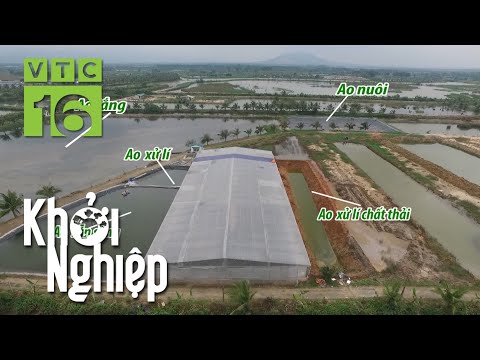 Video: Cửa hàng nước hoa và mỹ phẩm trực tuyến 