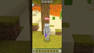 Minecraft but I am Skeleton