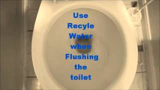 Taelor Harris - 2014-15 Crowdifornia Video Contest Entry