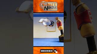 Corkscrew Round Kick on BOB XL 💥 #gingerninjatrickster #taekwondo #century
