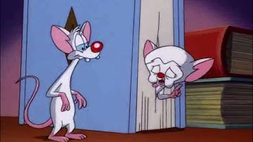 A Meticulous Analysis of History- Pinky and the Brain [CC]