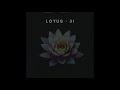 Lotus  31  control math rockpunk rock