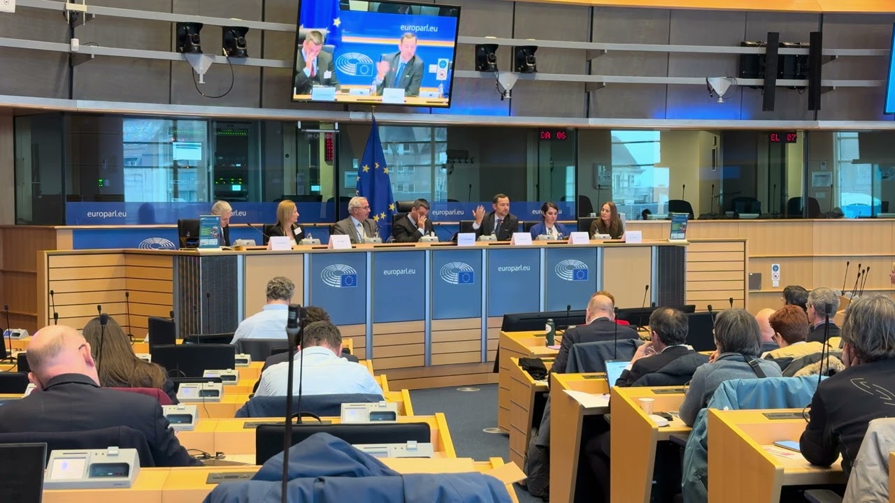 Geology for a Safe, Sustainable and Secure Europe: Afternoon roundtable 1
