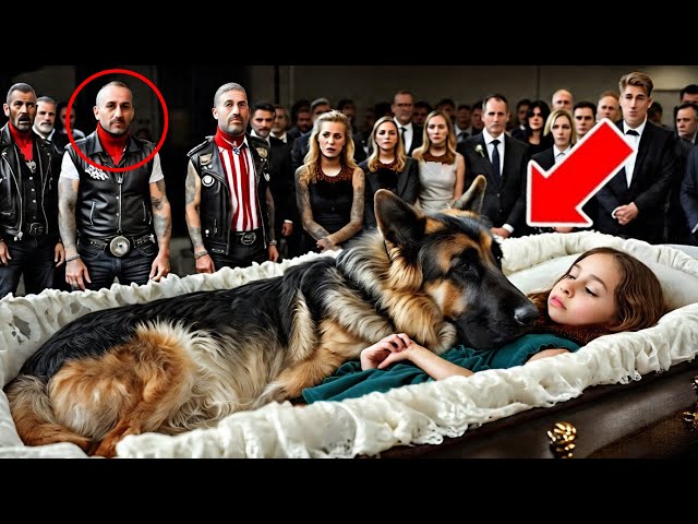Loyal German Shepherd Refuses to Leave Girl's Coffin, What Bikers  Discovered Will Shock You! - YouTube