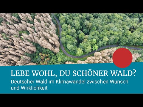 Lebe wohl, du schöner Wald? | Max-Planck-Lecture