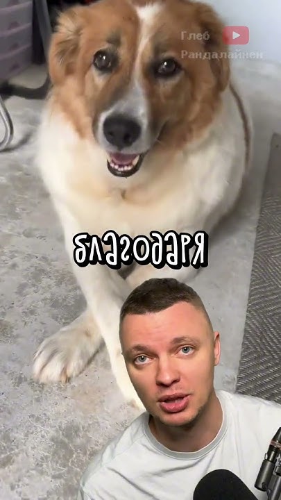 Невероятное Преображение Синди Кроуфорд - YouTube