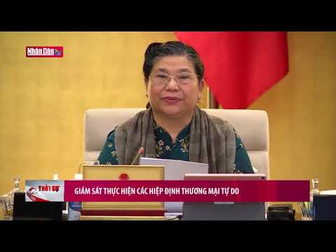 Video Giám sát thực hiện các Hiệp định Thương mại tự do - youtube