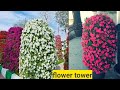 How to make a petunia tower