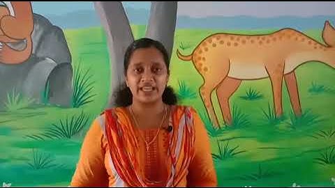 Std 2 Integration Unit 05 Class 17 Whiteboard HI