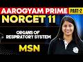 NORCET 11 Preparation Organs of Respiratory System MSN Part 2 | Aarogyam Prime #norcet11