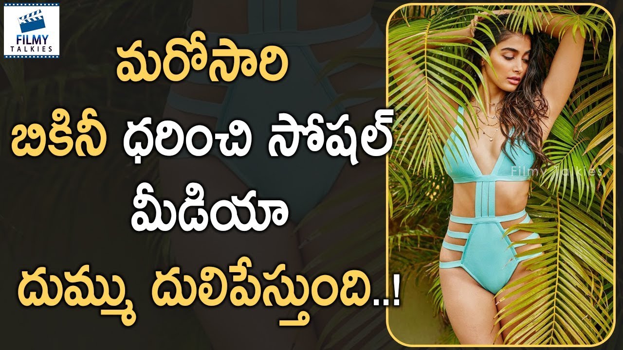 pooja hegde all songs Once Again Pooja Hegde in Bikini Photoshoot Virla in Social Media | Latest Celebrety News