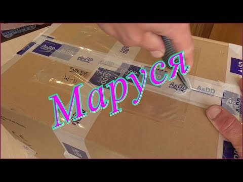 Завёл МАРУСЮ! Умная капсула с aliexpress. Умная колонка Капсула Mail.Ru Распаковка тест!
