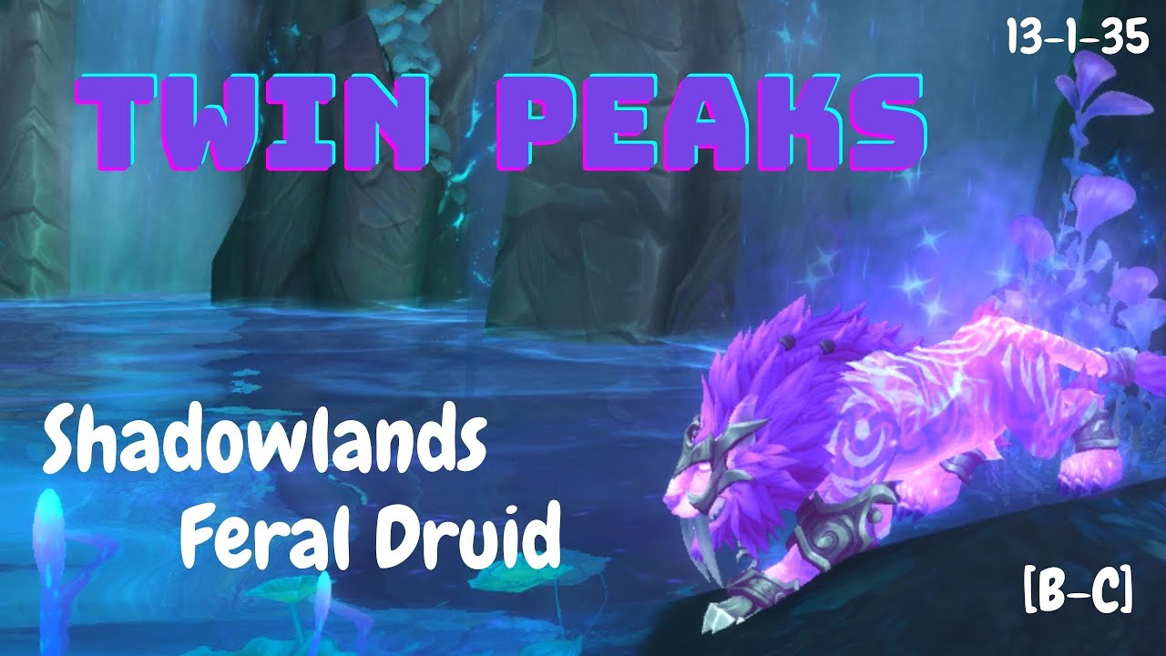 Shadowlands Feral Druid Twin Peaks PvP!! Blood Catalyst