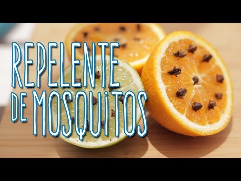 Video: Remedios Populares Para Los Mosquitos: ¿cómo Deshacerse De Ellos En Casa En Un Apartamento Y Hacer Un Remedio Con Sus Propias Manos? ¿De Qué Tienen Miedo? ¿Qué Les Asusta Al Aire L