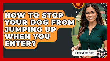 How To Stop Your Dog From Jumping Up When You Enter? - Obedient Dog Guide