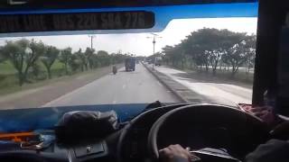 King of Pantura Bus Setia Negara 'Denok' vs 3 Luragung  dan 1 Bhineka