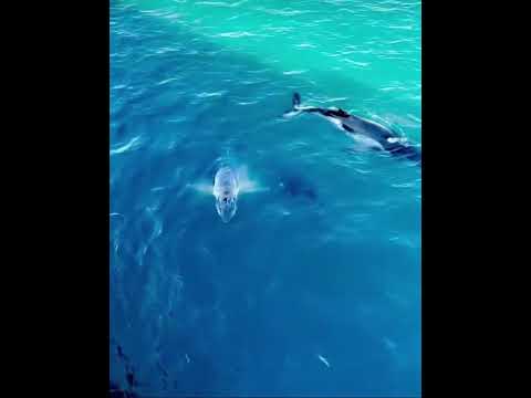 يحسب اني لا وصلته بنتقم واخذ بثاري وأنا اللي لا وصلته احضنه واخذه بيده