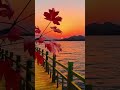 دعا الصباح والمساء #shortvideo #fypシ゚viral