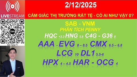 2/12 SAB - VNM phân tích penny HQC 3.3 HNG 5.8 C4G - G36 AAA - EVG CMX LCG DL1 HPX HAR - OCG