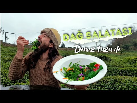 Bilinmeyen Yenilebilir Bitkiler | Dağ Salatası