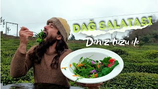 Bilinmeyen Yenilebilir Bitkiler | Dağ Salatası