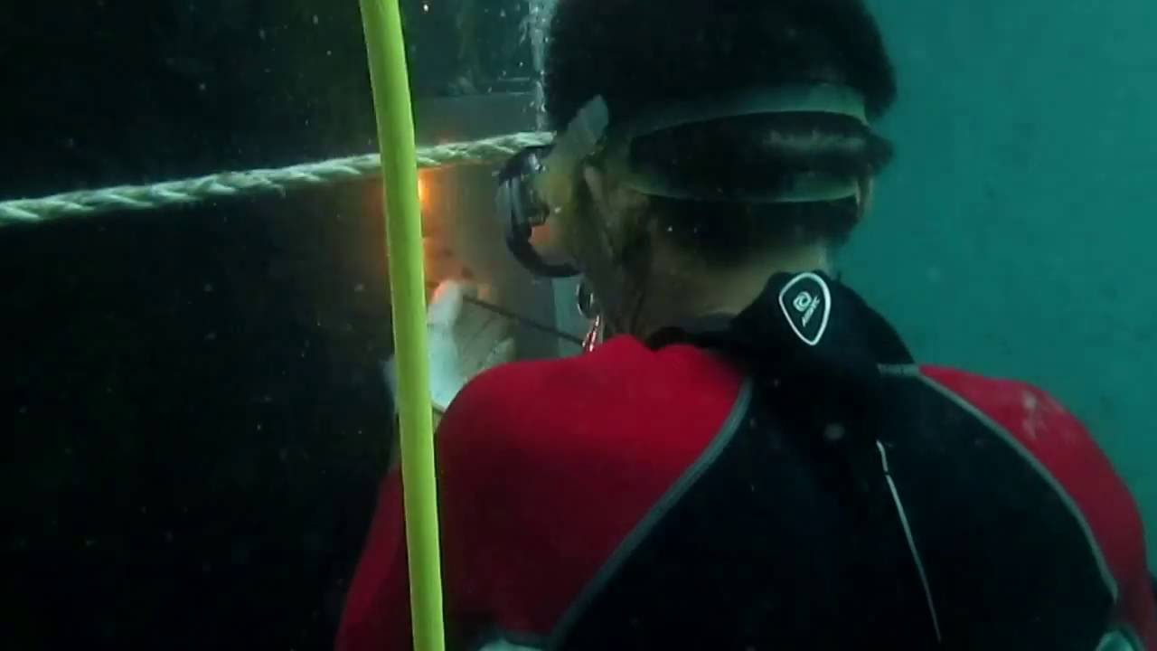 underwater-welding-with-profesional-diver-youtube